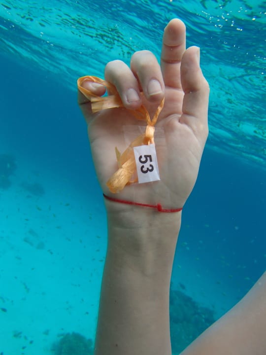 Christmas treasure hunt Komandoo Island Resort & Spa - Adults only