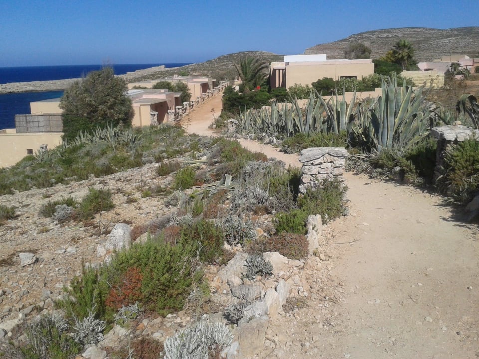 Weg zu den Bungalows Comino Hotel & Bungalows