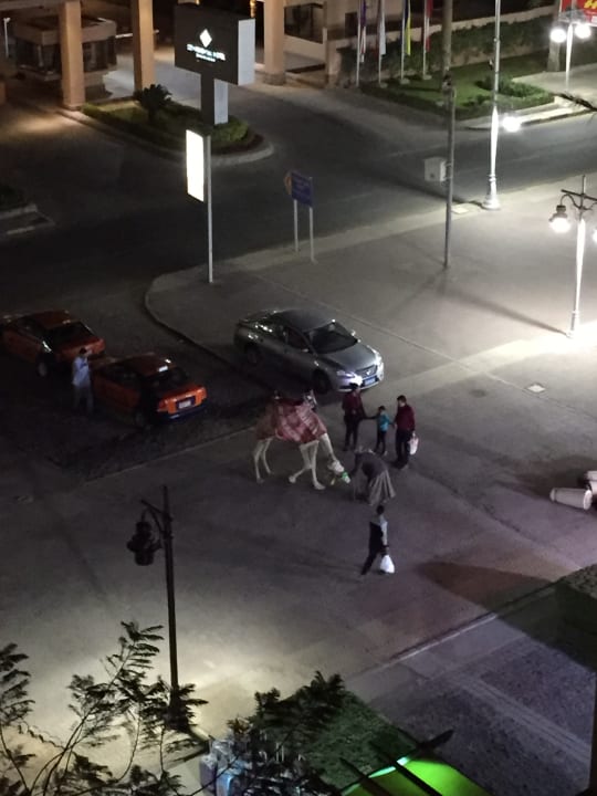 Sonstiges Steigenberger Aqua Magic