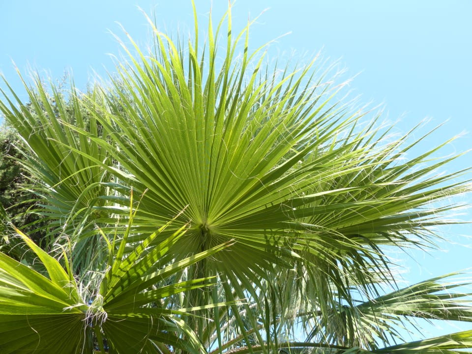 Sonstiges Oasis Verde Ferienhäuser