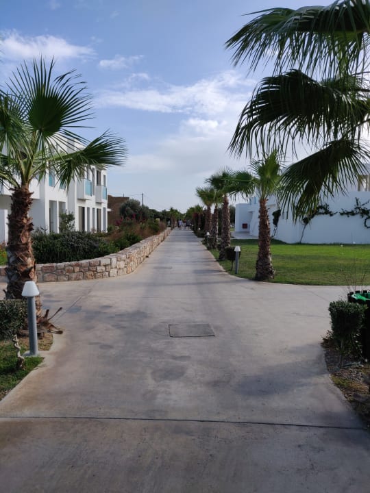 Gartenanlage Atlantica Plimmiri