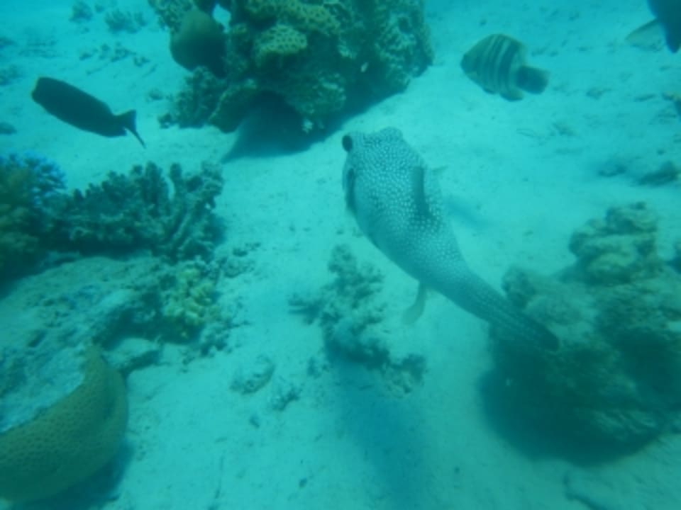 Sport & Freizeit Kaisol Romance Resort