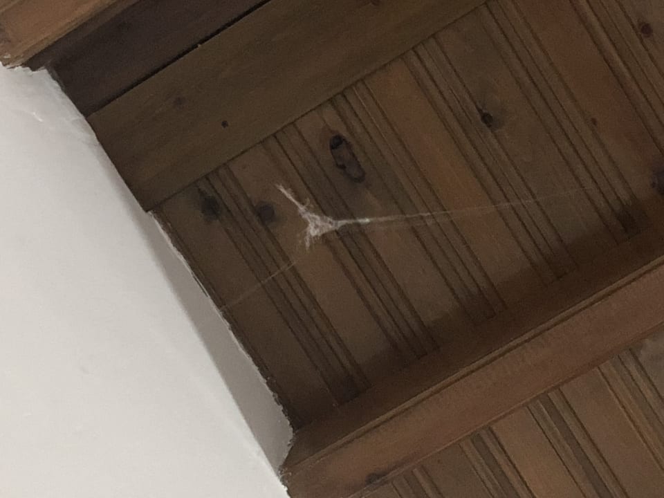 Zimmer Apartments Angela Beach