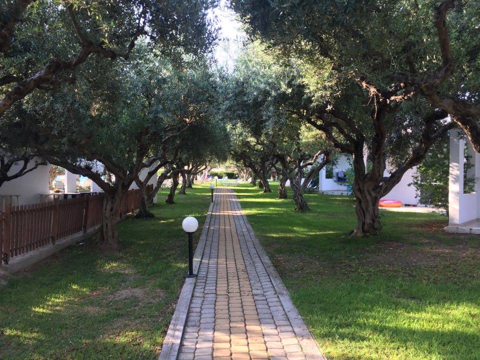 Gartenanlage TUI KIDS CLUB Alex Beach