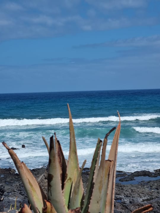 Strand AluaSoul Orotava Valley