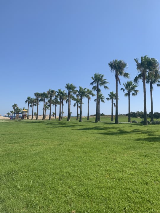 Gartenanlage Delfina Tropic Beach