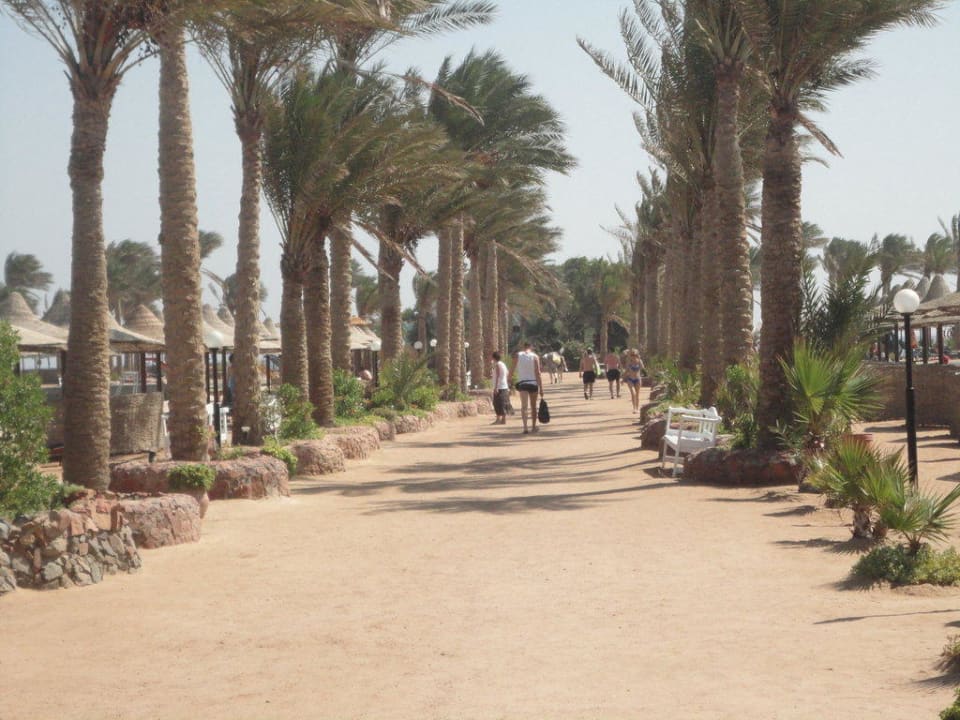 Zugang zum Mittagsrestaurant sehr schön Arabia Azur Resort