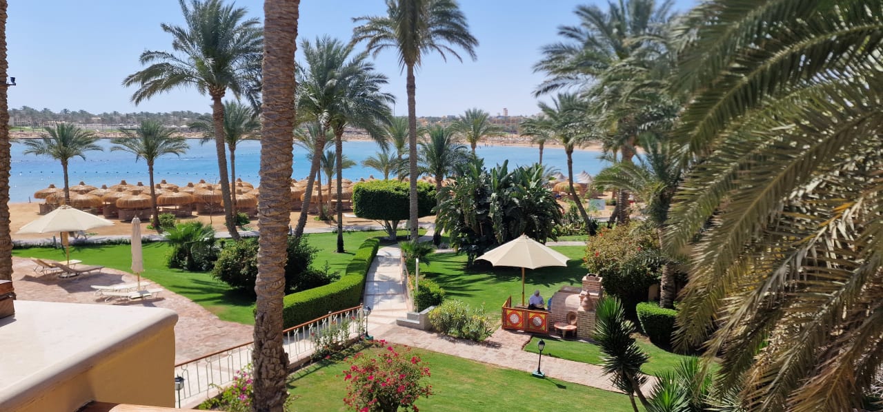 Gartenanlage Steigenberger Coraya Beach - Adults only