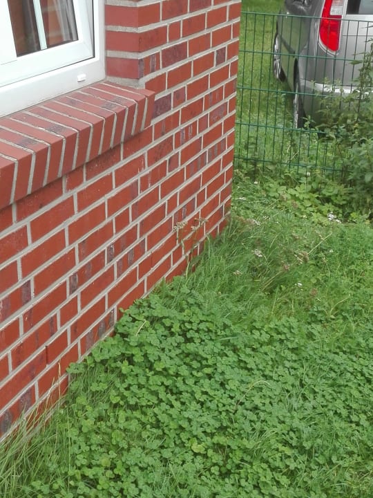 Garten Ferienzentrum Schloss Dankern