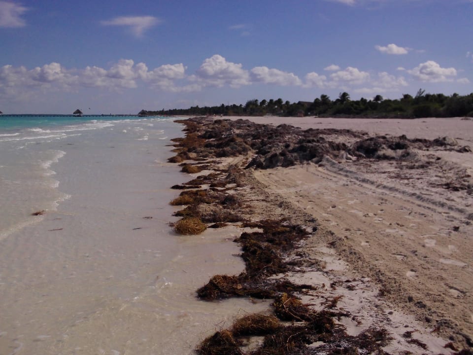 Seegras Hotel Vigía Cayo Guillermo