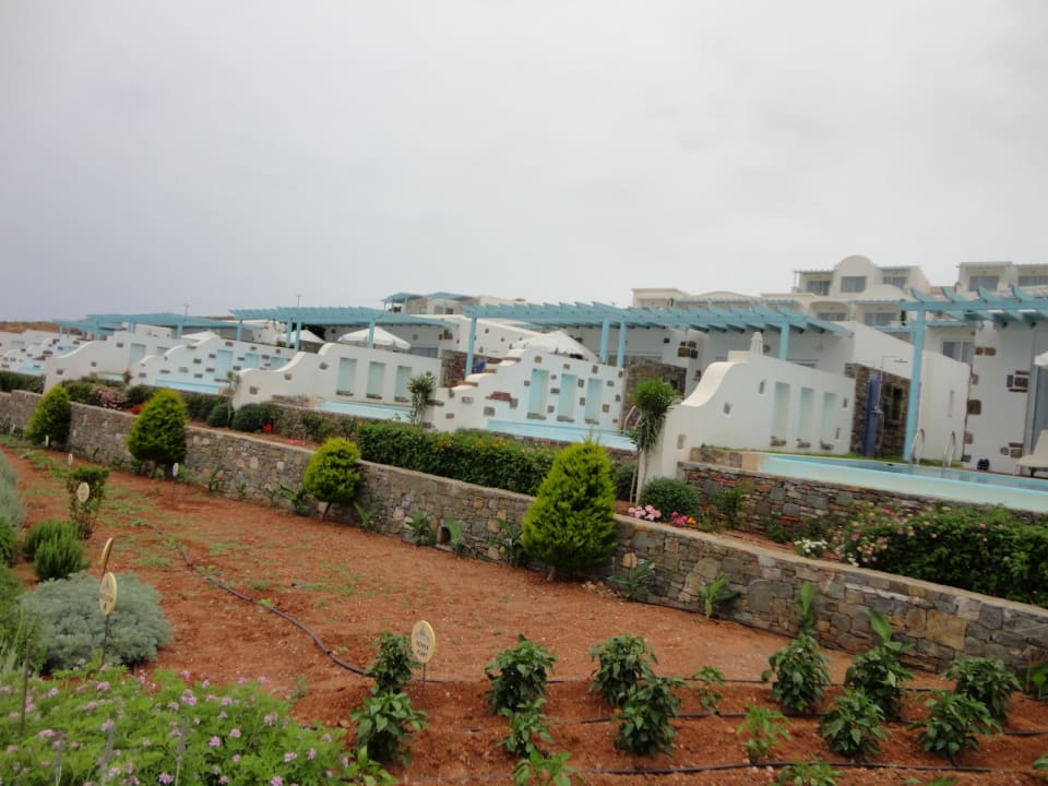 Widok na baseny przynależne do pokoi Atrium Prestige Thalasso Spa Resort & Villas