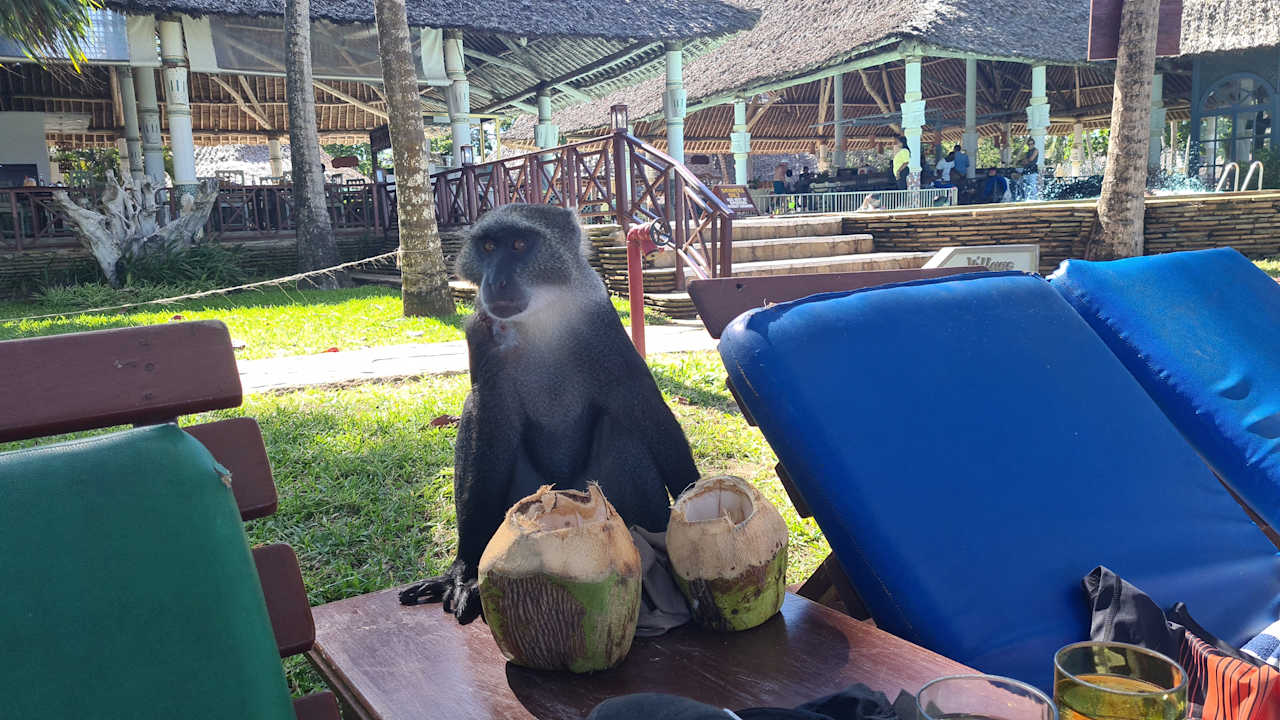 Gartenanlage Neptune Village Beach Resort & Spa