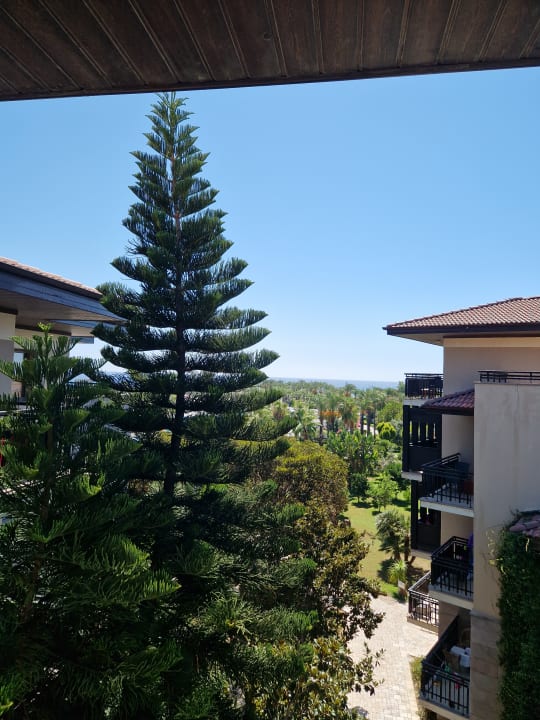 Ausblick Calimera Serra Palace