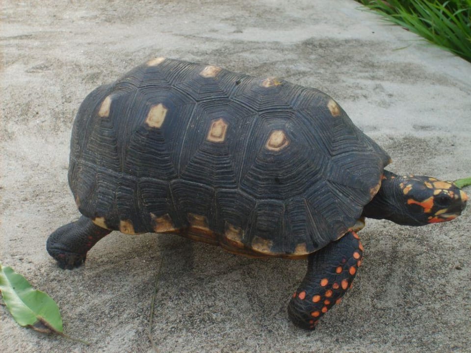 Auf Tour auf der Hacienda San Andres! Hotel Hacienda San Andres