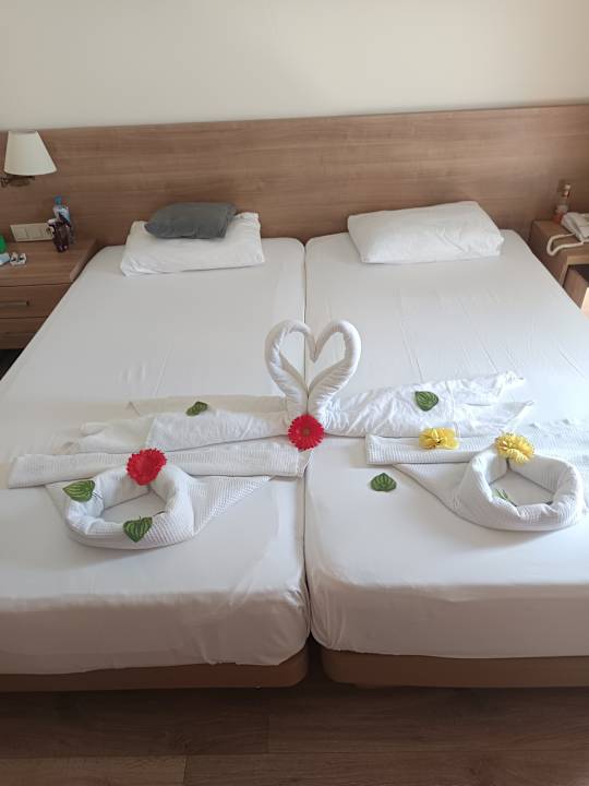 Zimmer Dream Family Club