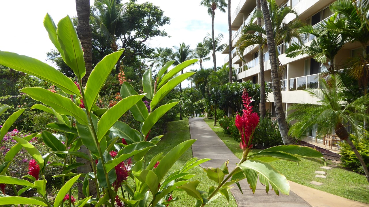 Garten Aston at the Maui Banyan