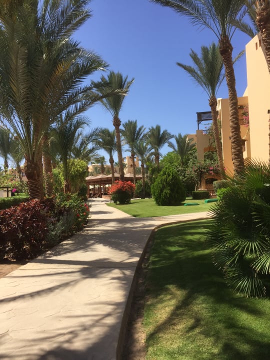 Gartenanlage Steigenberger Coraya Beach - Adults only