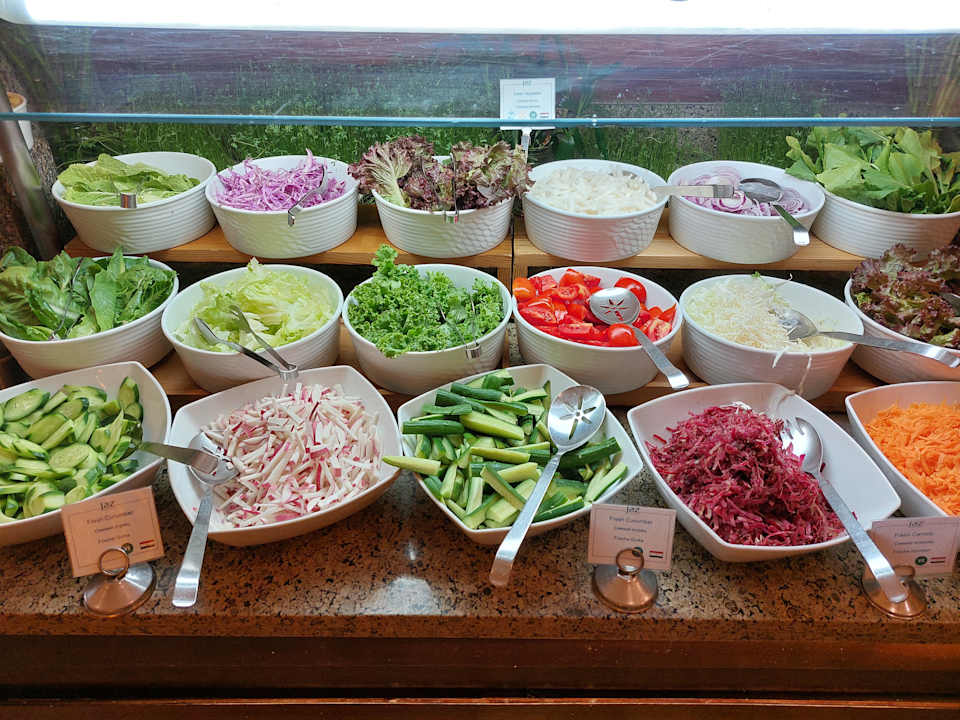Gastro Jaz Solaya