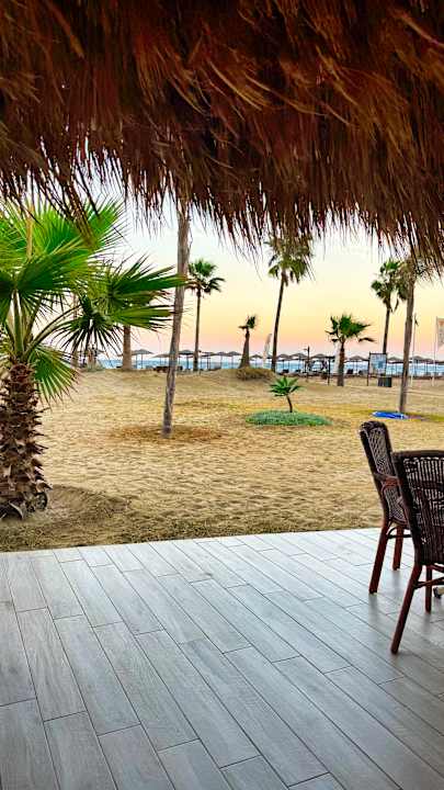 Gastro Delfina Tropic Beach