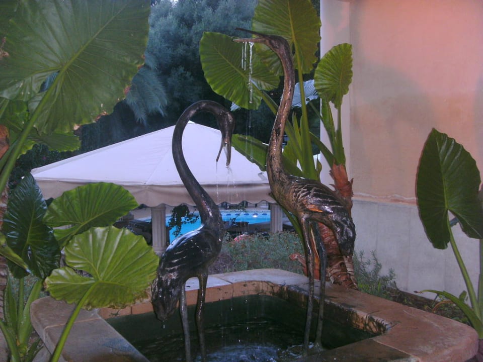 Ausblicke Lago Garden