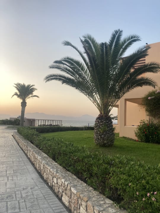 Gartenanlage Hotel Horizon Beach Resort