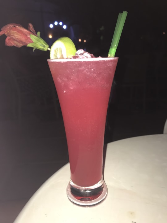 Gastro Hotel Djerba Resort