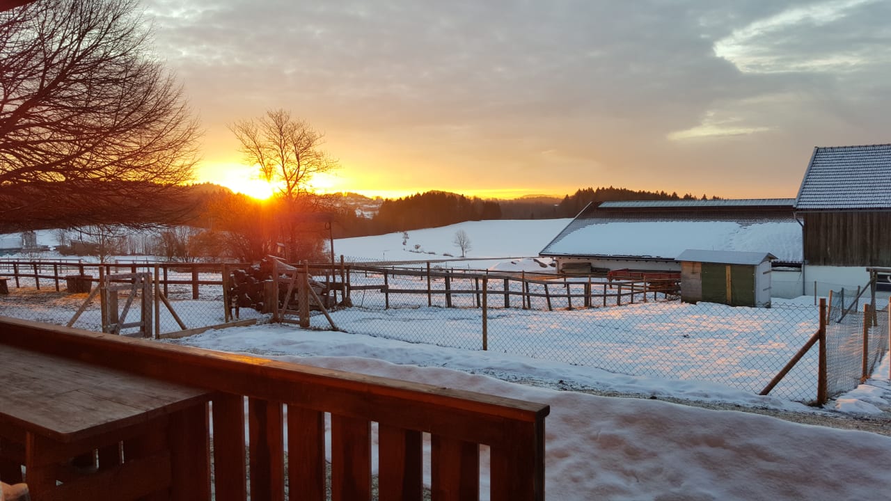 Ausblick Bayerwald-Ferienhof Schmid