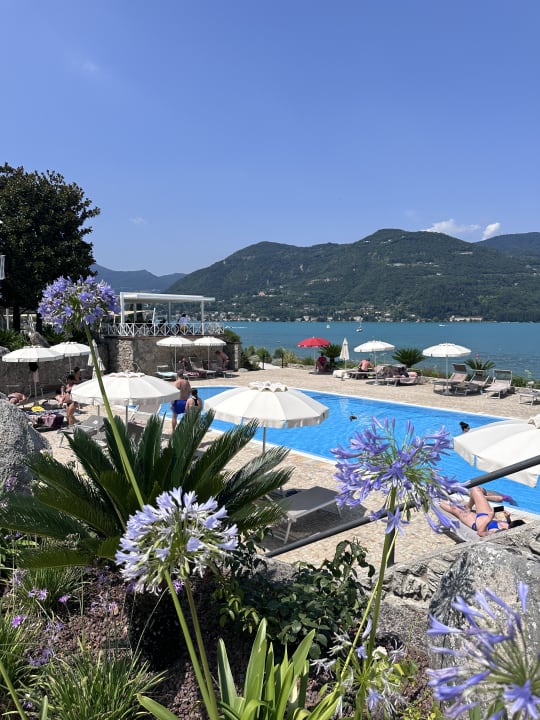 Pool Park Hotel Casimiro