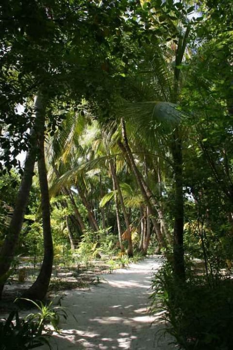 Weg inmitten der Insel NH Collection Maldives Reethi Resort