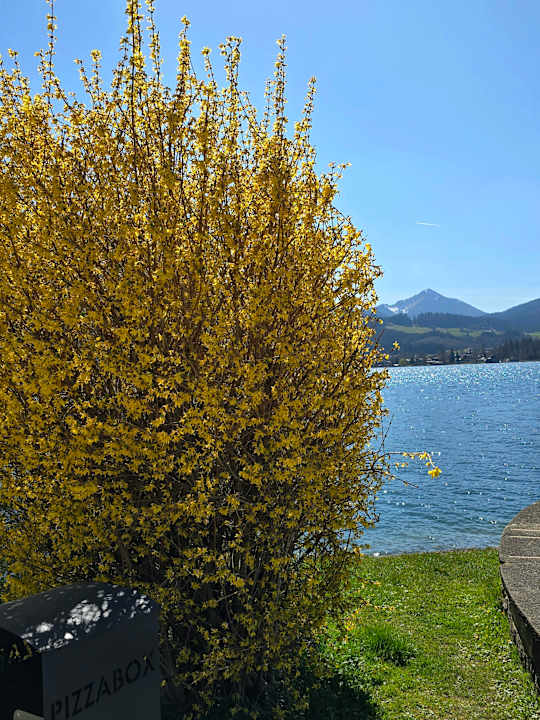 Ausblick Haus Schußmann