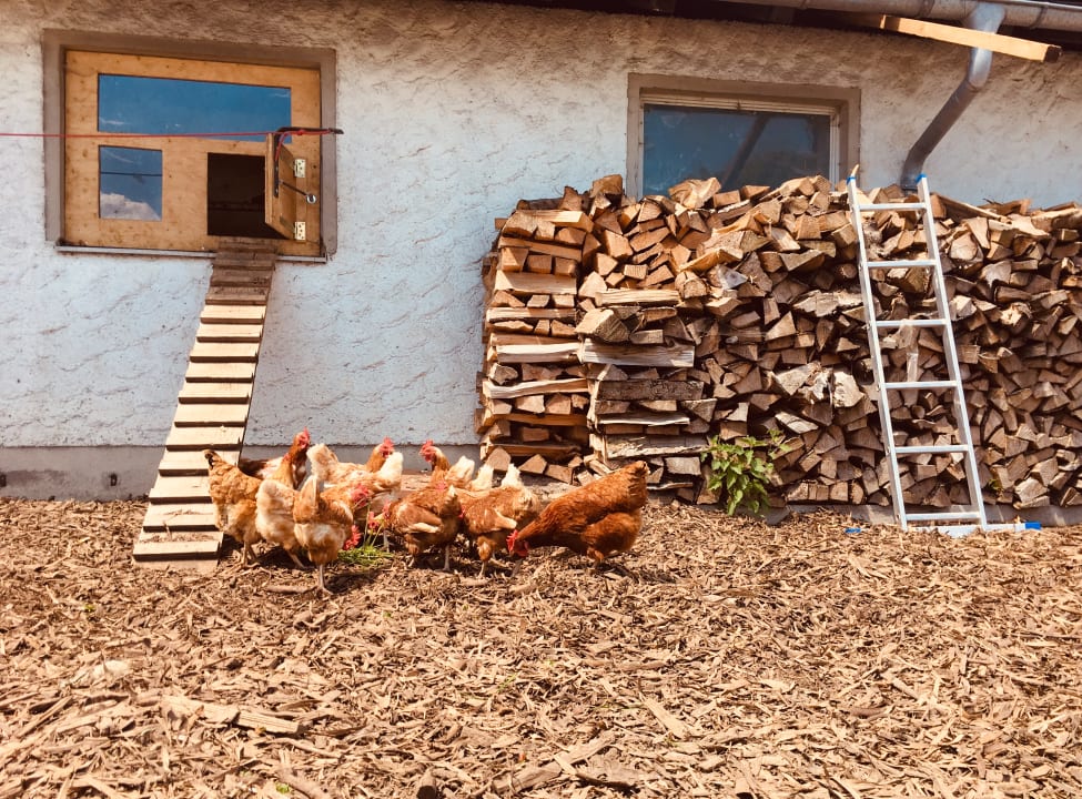 Sonstiges Ferienhof Baldauf