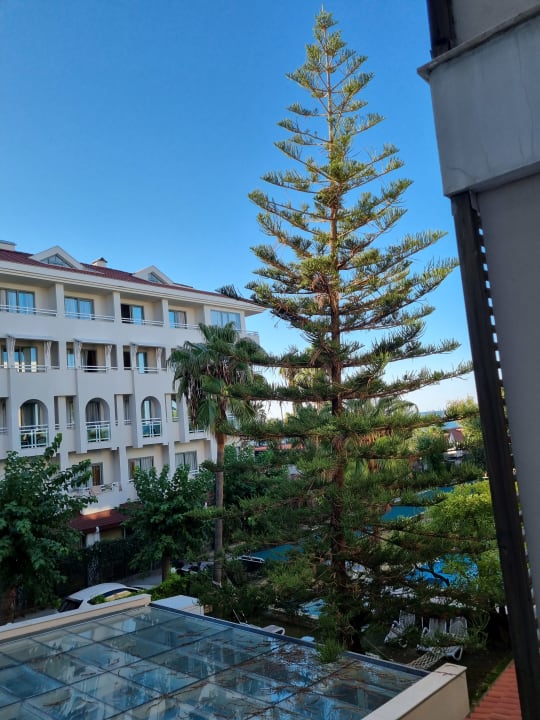 Zimmer Trendy Side Beach Hotel - Adults only