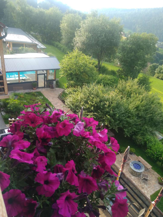 Ausblick Hotel Schwengerer