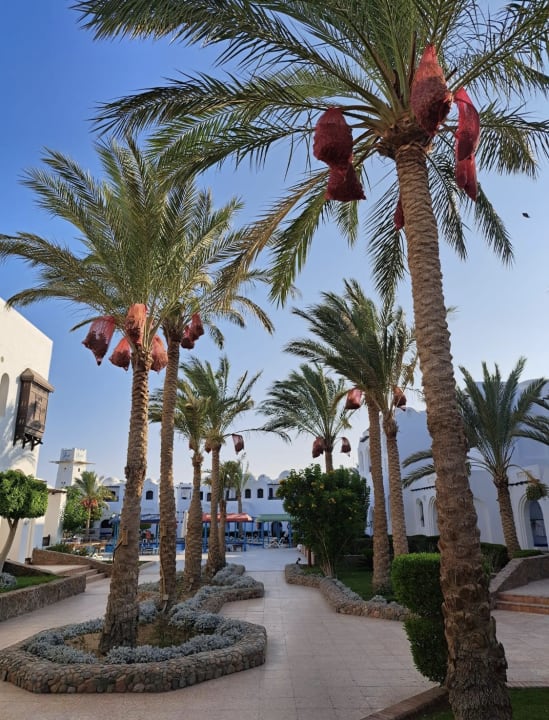 Außenansicht Arabella Azur Resort