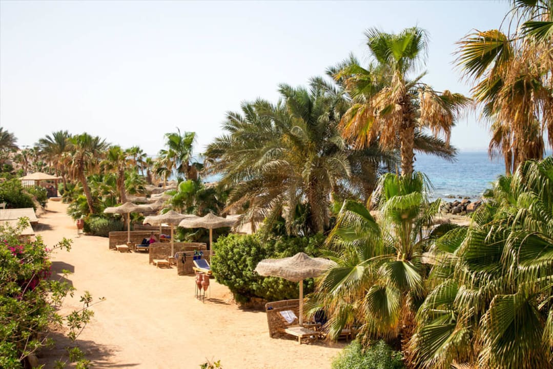 Das ist nicht die Karibik, das ist Sahl Hasheesh Pickalbatros Citadel Resort