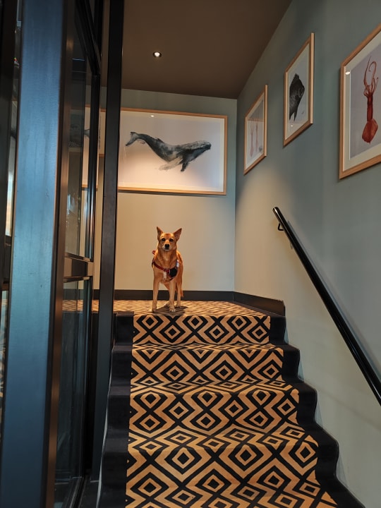 Sonstiges Hotel Kaap West I Kloeg Collection