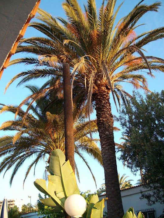 Hotelanlage San Valentin & Terraflor Park