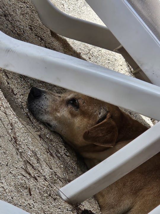 Strand Lagoon Attitude - Adults only