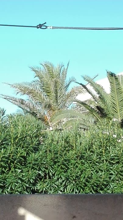 Außenansicht Apartments Ibiza