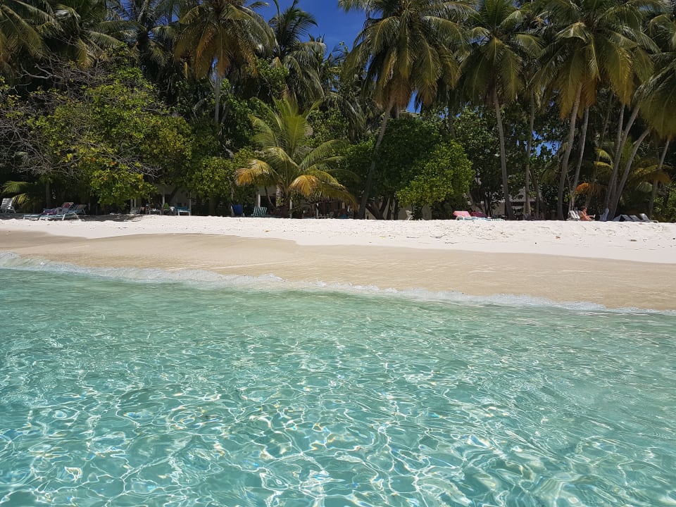 Strand Fihalhohi Maldives