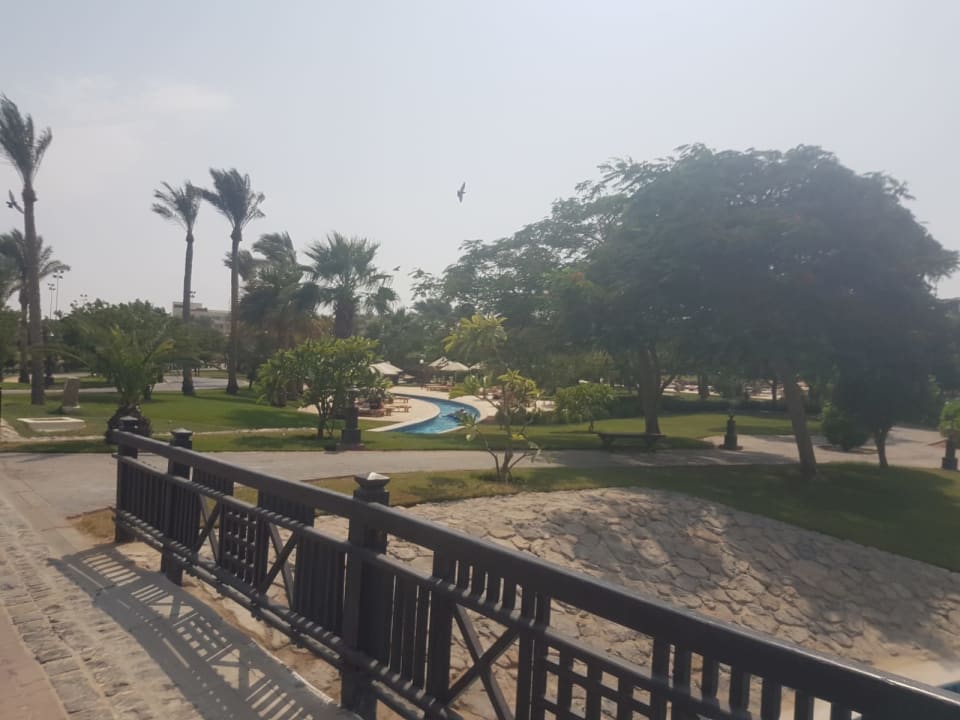 Gartenanlage Steigenberger ALDAU Beach Hotel