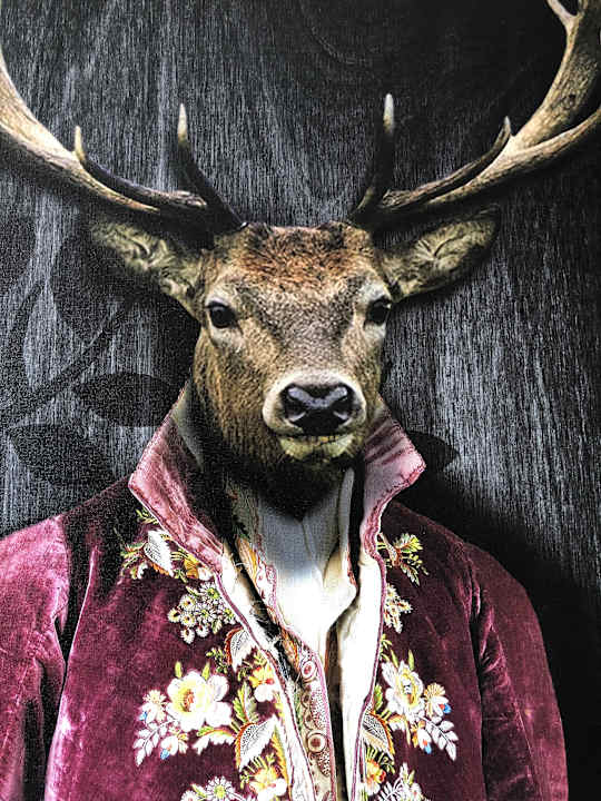 Zimmer Aiden by Best Western T'aim Hotel & SPA