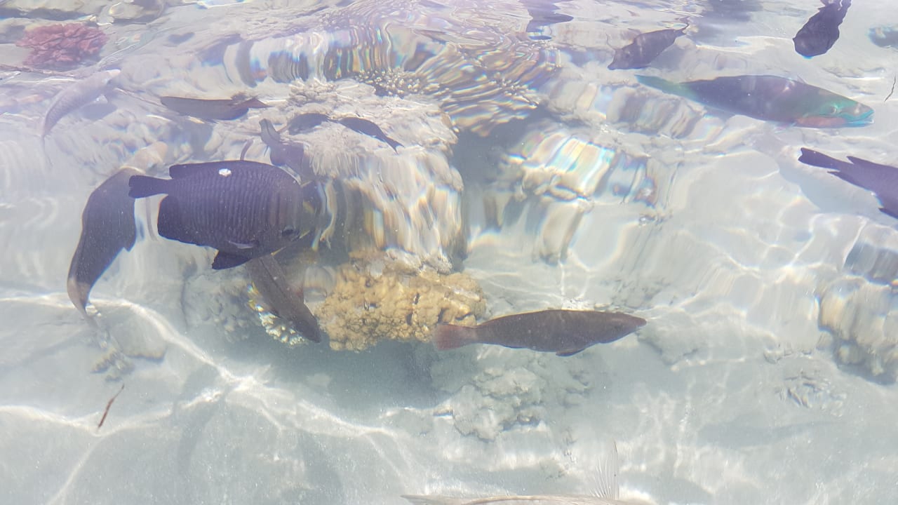 Strand Grand Waterworld Makadi & Family Star Makadi