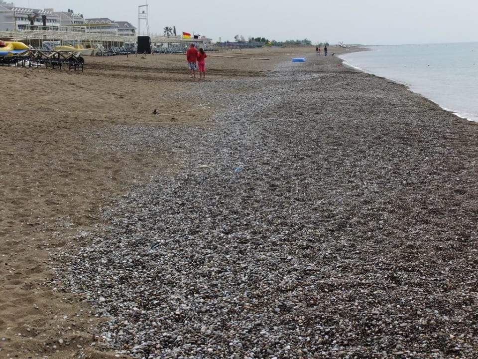 Strand  Crystal Family Comfort Collection