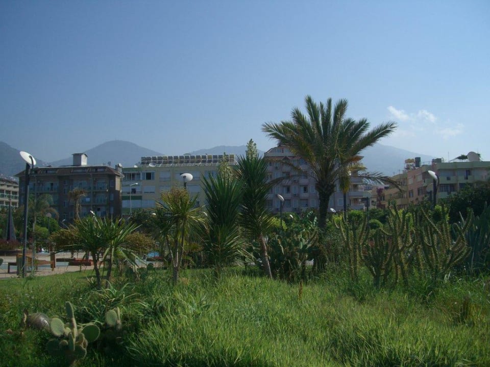 Blick vom Strand Hotel Kleopatra Bebek