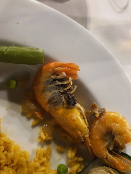 Gastro Hotel Viva Dominicus Beach by Wyndham - All Inclusive Resort