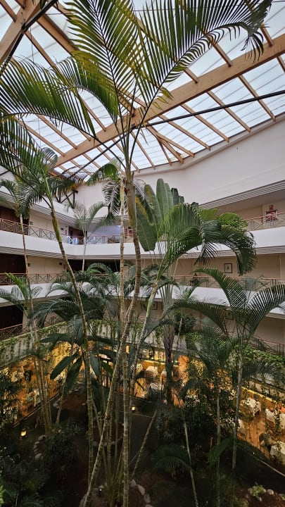Sonstiges Hipotels Natura Palace