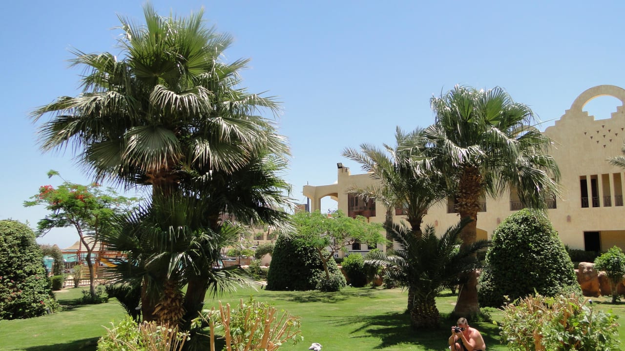 Ogród Sunny Days Palma De Mirette Resort & Spa