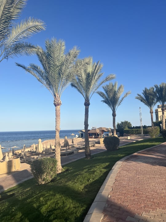 Strand Serenity Alpha Beach