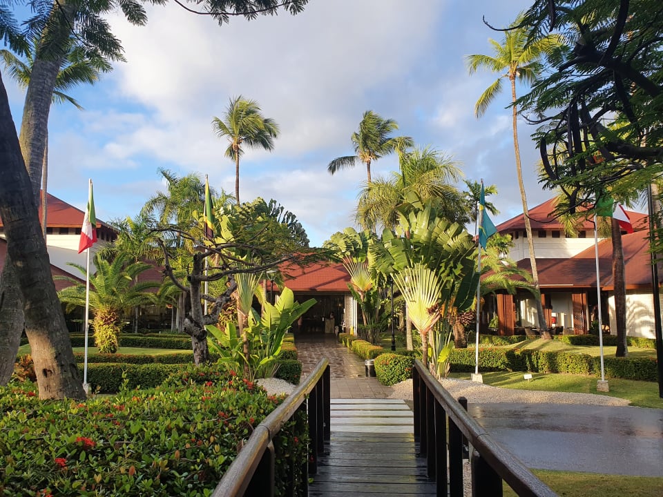 Gartenanlage Hotel Grand Palladium Palace Resort, Spa & Casino